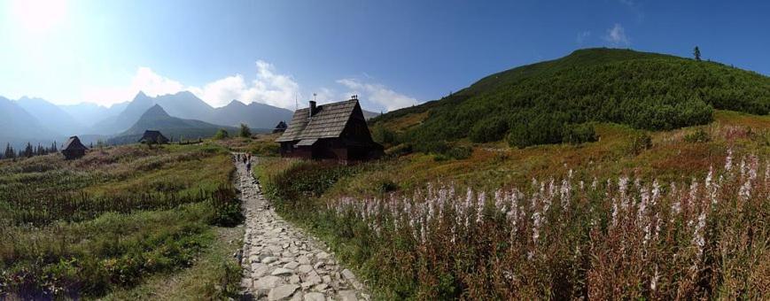 Willa Skoczek: Two-Room Apartment with Shared Bathrooms and Thermal Spa Access Zakopane Exterior photo
