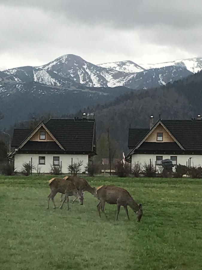 Willa Skoczek: Two-Room Apartment with Shared Bathrooms and Thermal Spa Access Zakopane Exterior photo